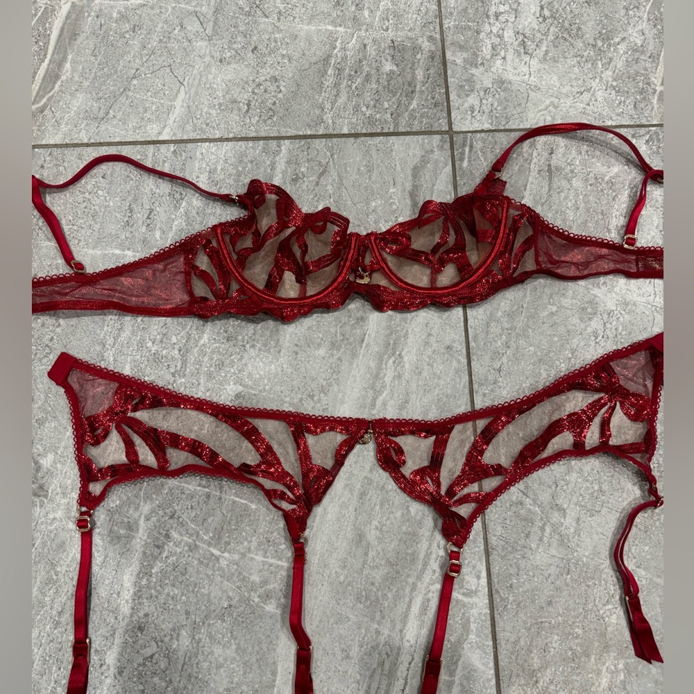 Honey Birdette Red Lace Bra, Garter - Picture 3 of 4